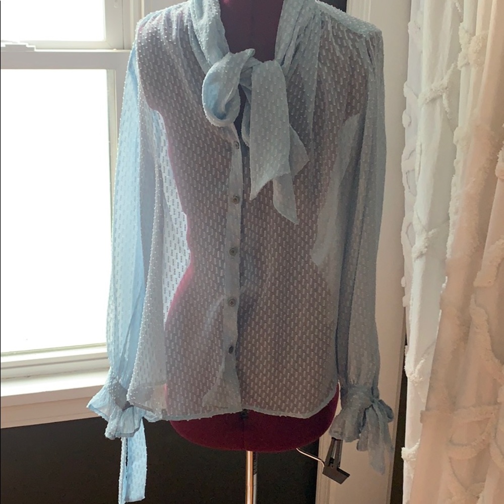 Sheer Banana Republic Pussy Bow Blouse